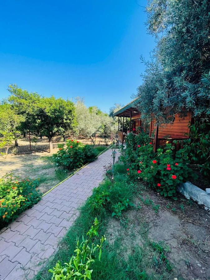 Felicity Hotel & Bungalows Kemer Buitenkant foto
