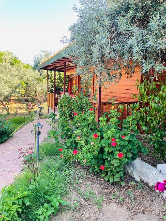 Felicity Hotel & Bungalows Kemer Buitenkant foto