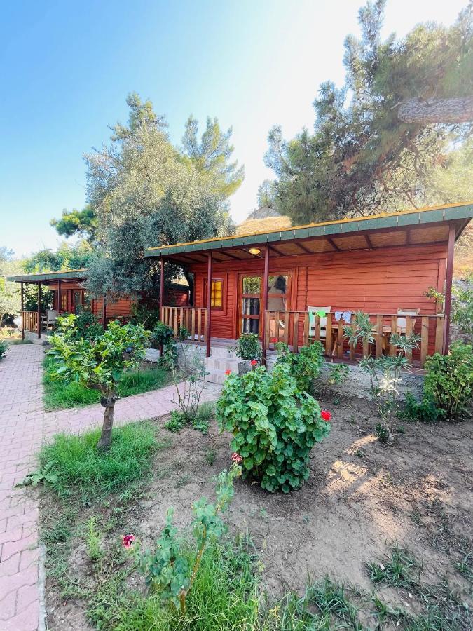Felicity Hotel & Bungalows Kemer Buitenkant foto