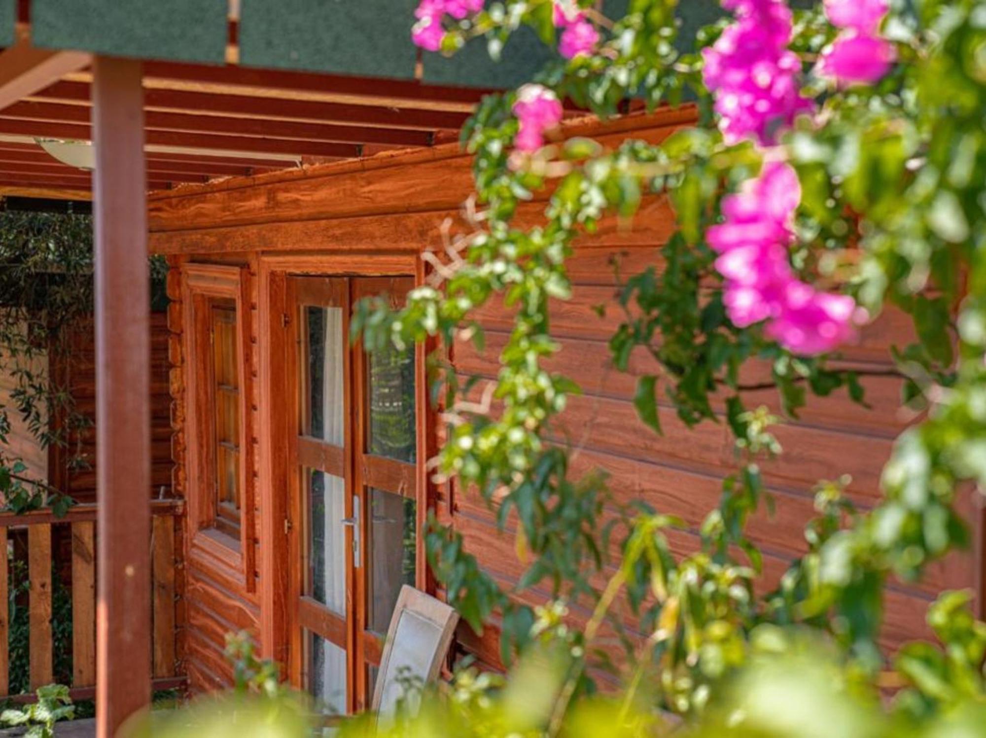 Felicity Hotel & Bungalows Kemer Buitenkant foto