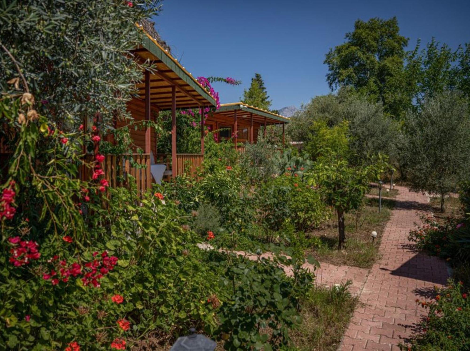 Felicity Hotel & Bungalows Kemer Buitenkant foto