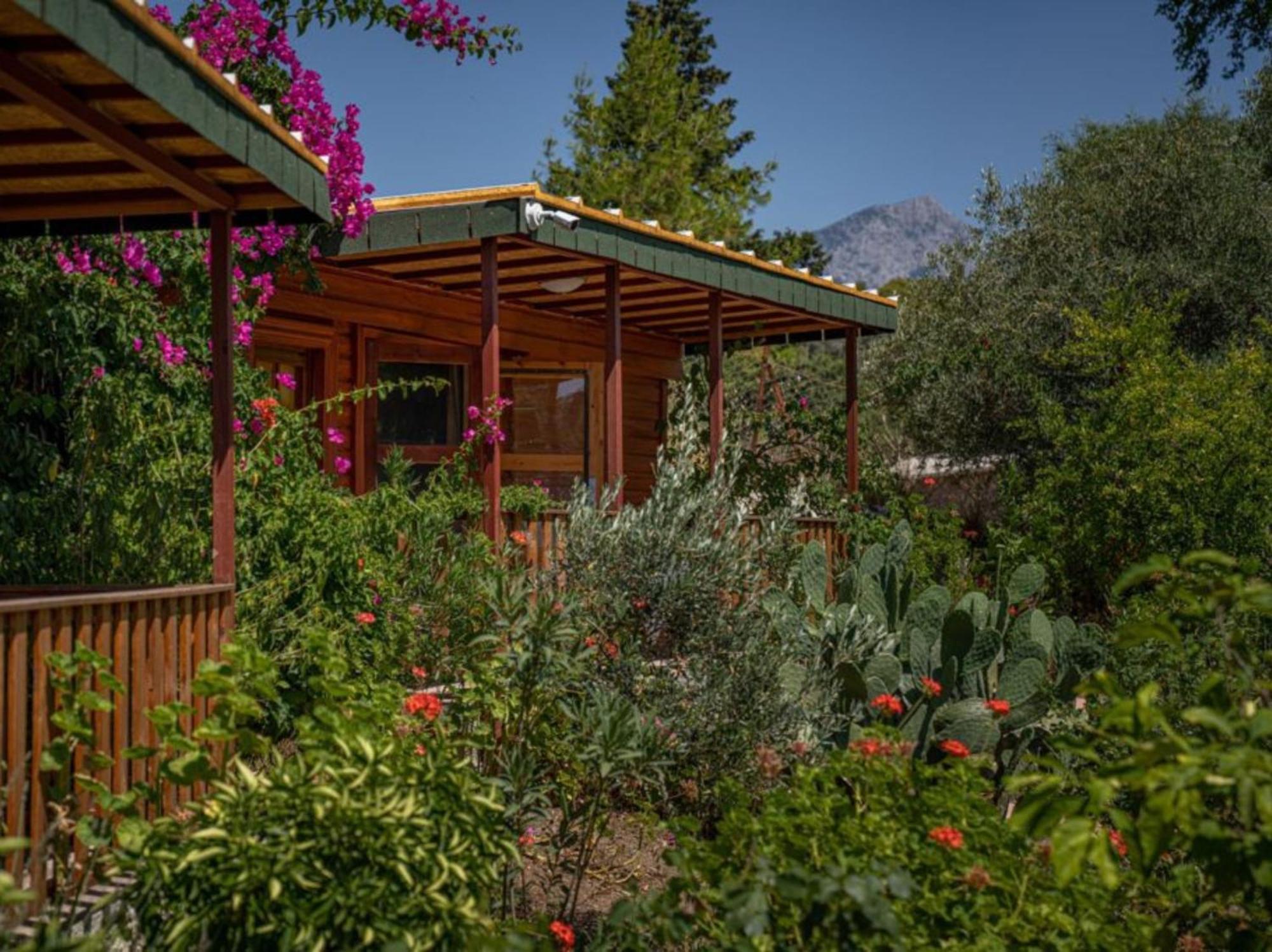 Felicity Hotel & Bungalows Kemer Buitenkant foto